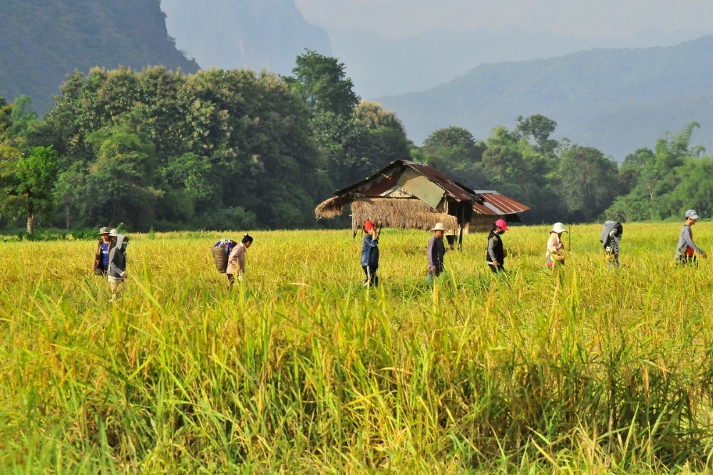cover-laos