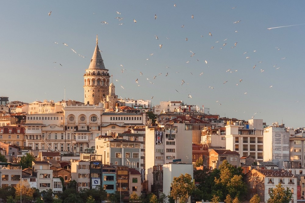 cover-turkey